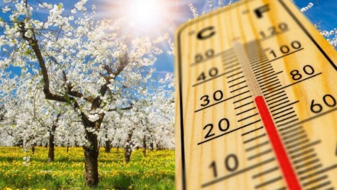 prognoza meteo